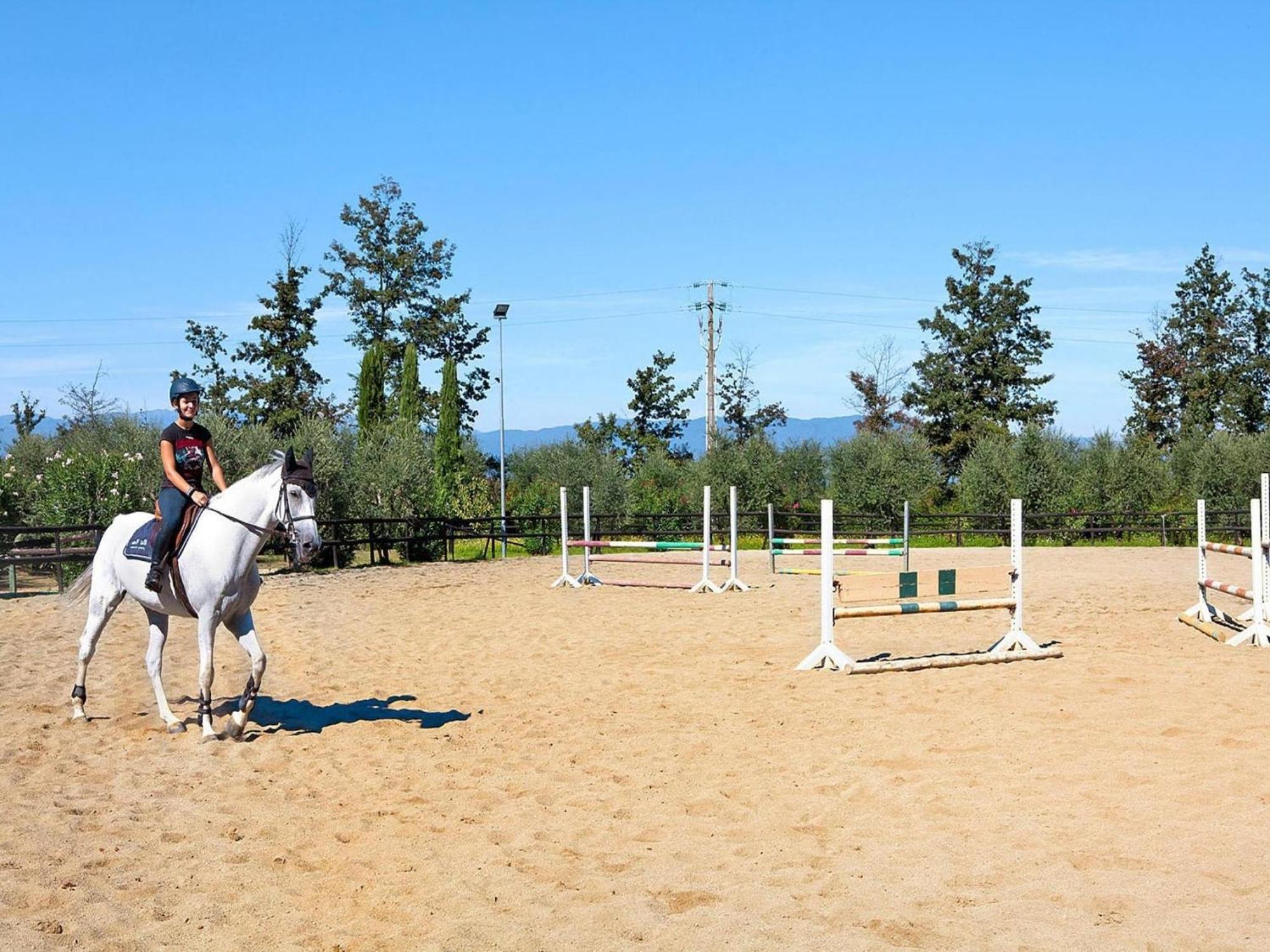 Hesse Farm Holiday Borgo Pinete Le Vedute 외부 사진